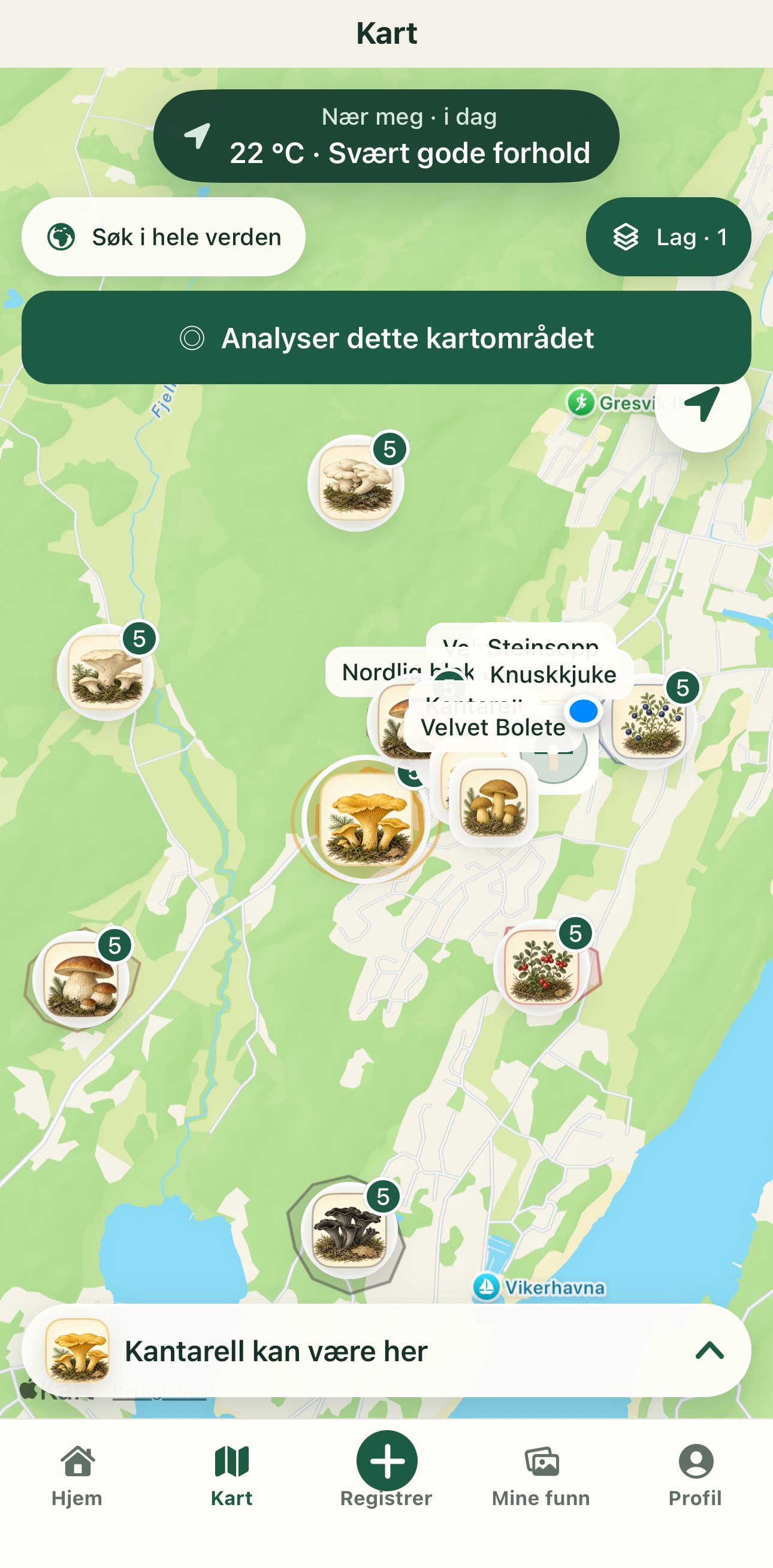 Mycoverse shows current species and local search areas on the map