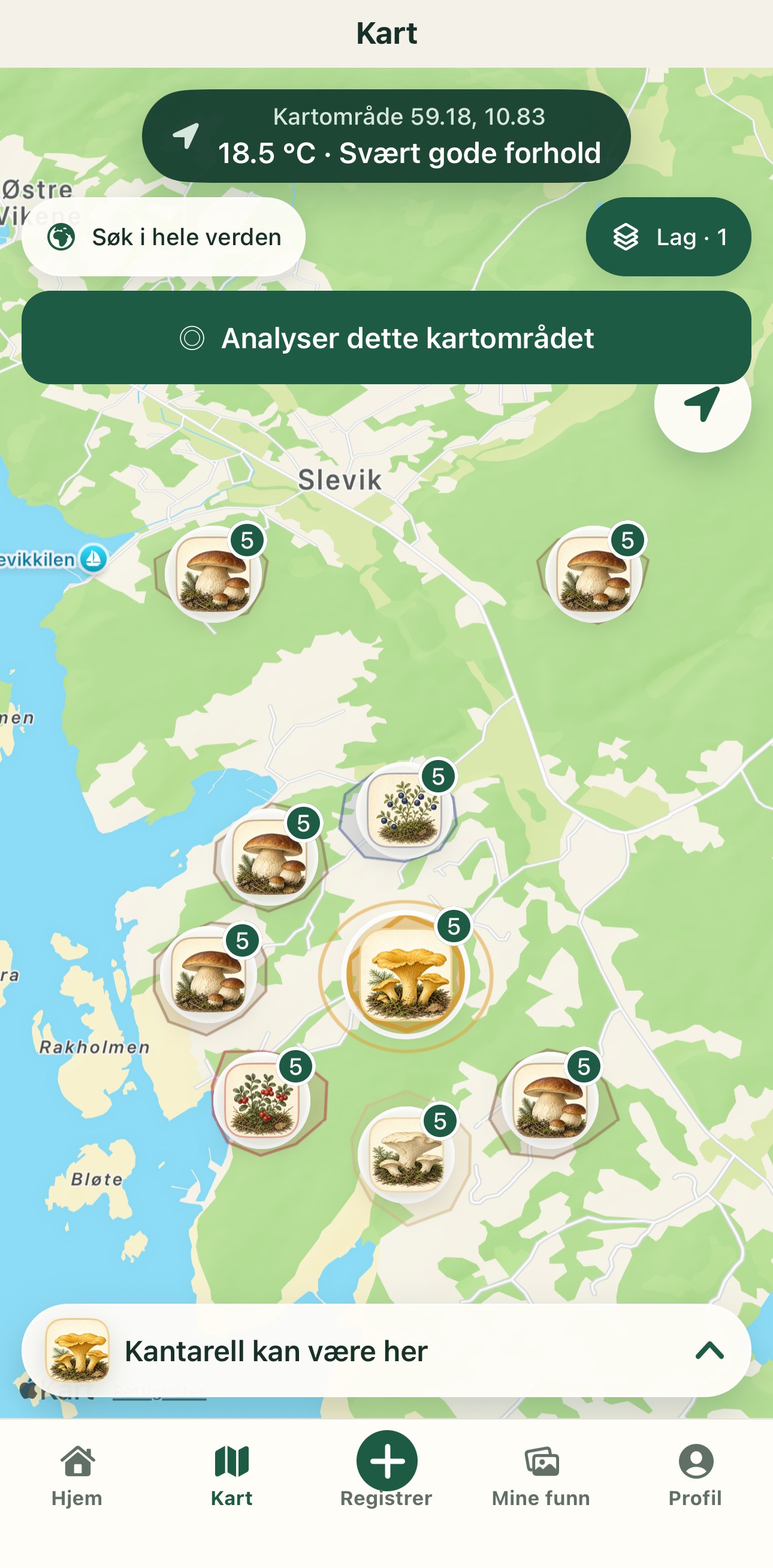 Mycoverse analyses a selected map area and shows several small, species-specific search areas
